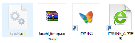 facehi.dll文件
