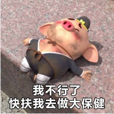 猪小屁表情包
