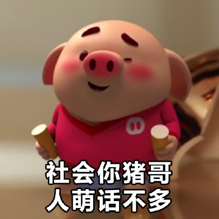 猪小屁表情包