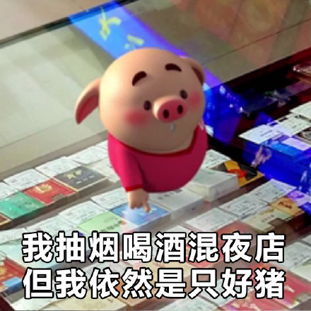 猪小屁表情包