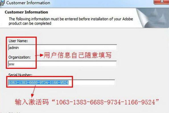 Adobe After Effects 6.5