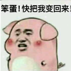 小乳猪表情包