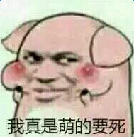 小乳猪表情包
