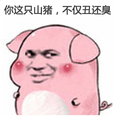 小乳猪表情包