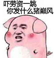 小乳猪表情包