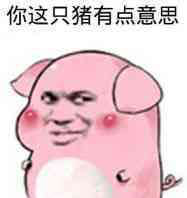 小乳猪表情包