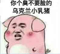 小乳猪表情包