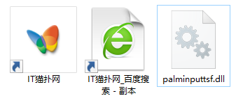 palminputtsf.dll文件