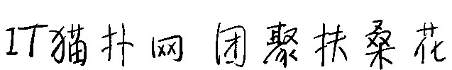 团聚扶桑花