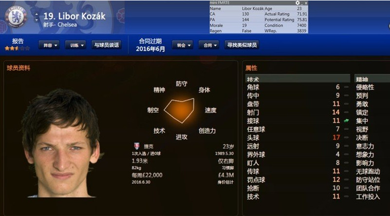fm2013