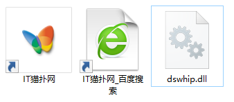 dswhip.dll文件