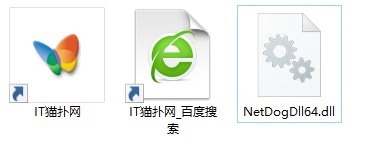 netdogdll64.dll文件