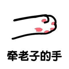 白色猫爪表情包