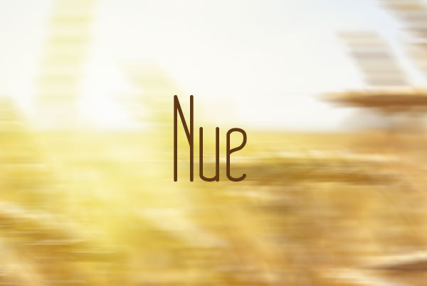 nue字体