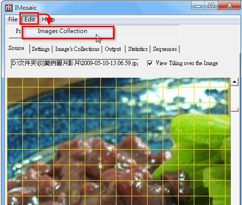 IMosaic中文版2