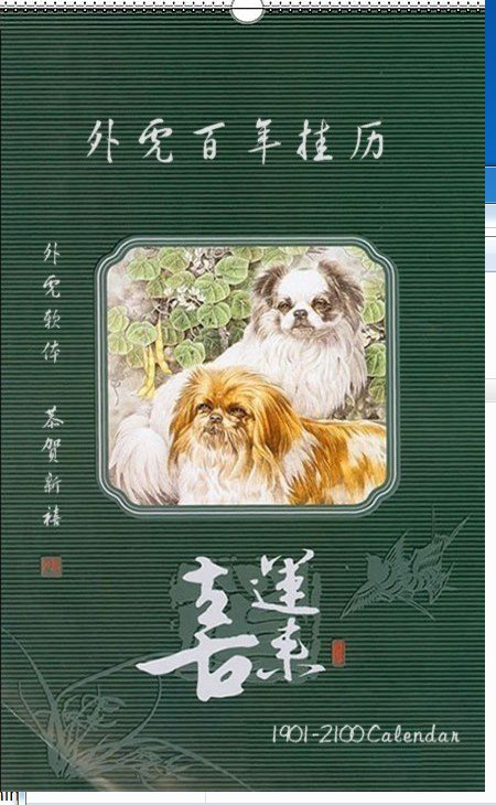 外虎百年电子写真挂历