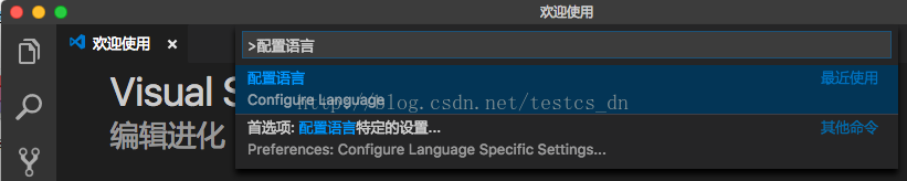 vscode中文版