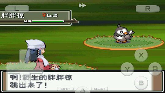 口袋妖怪白金493nds