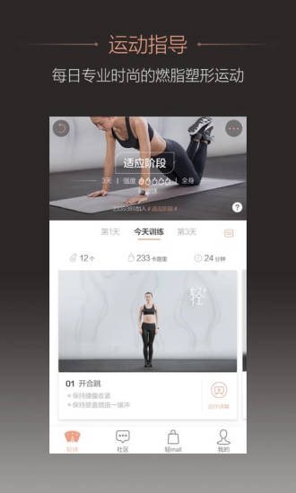 轻加减肥电脑版