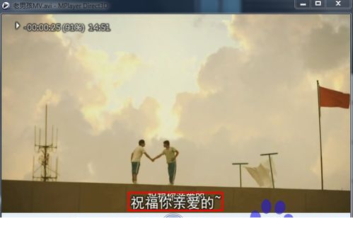怎样为视频加字幕