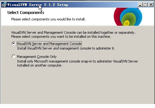 visualsvn server