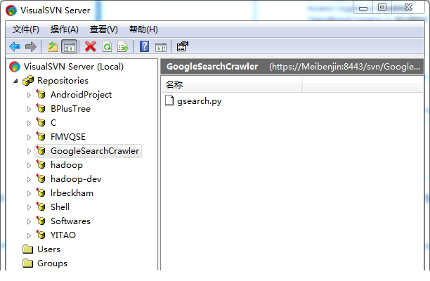 visualsvn server