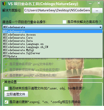 VS项目重命名工具