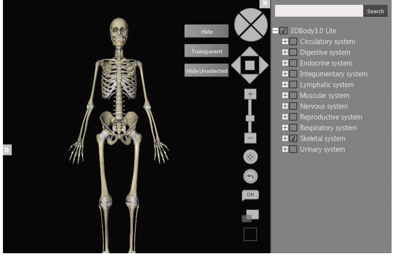 3dbody6.0破解版下载