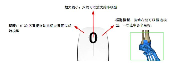 3dbody6.0破解版下载