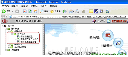 重点税源财务报表报送客户端