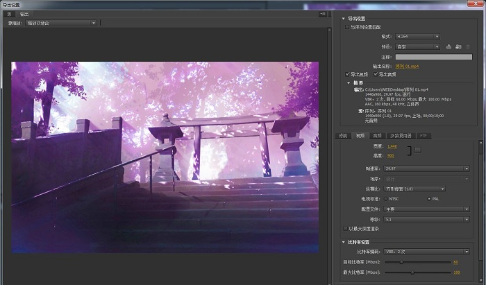 premiere cs6中文版