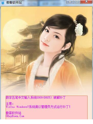 数字五笔2009破解版