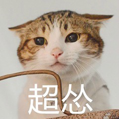 猫咪超怂表情包