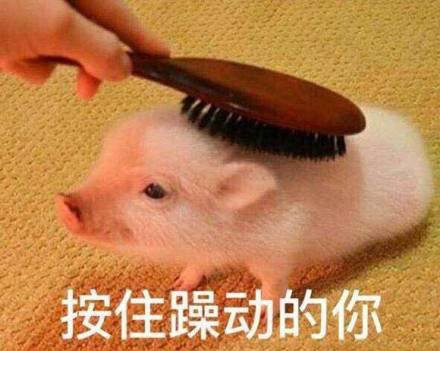 按住躁动的你表情包