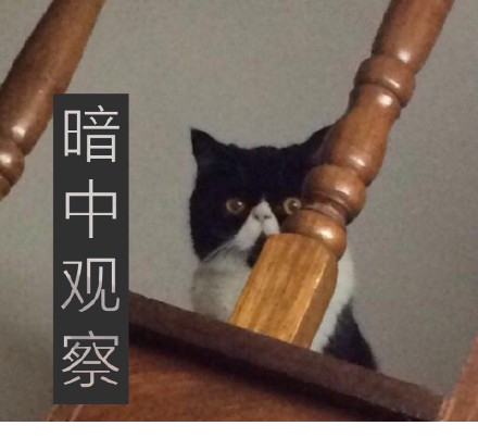 暗中观察表情包