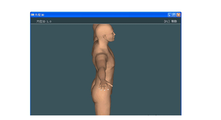 人体穴位3D模型