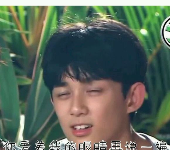 吴磊文字表情包