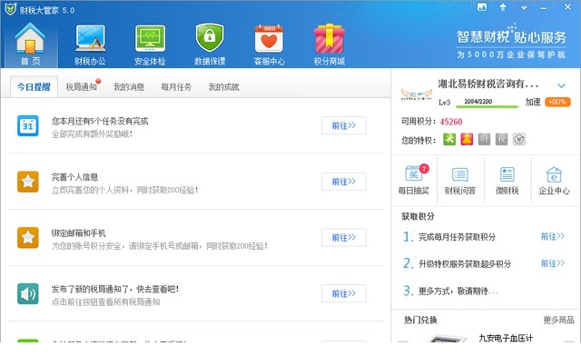 财税大管家