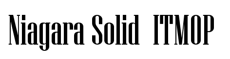niagara solid字体