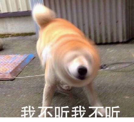 我不听我不听表情包