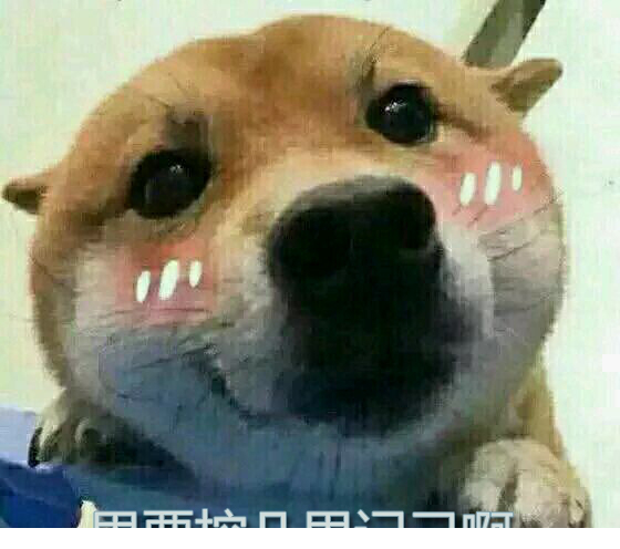 你要控几你记几表情包