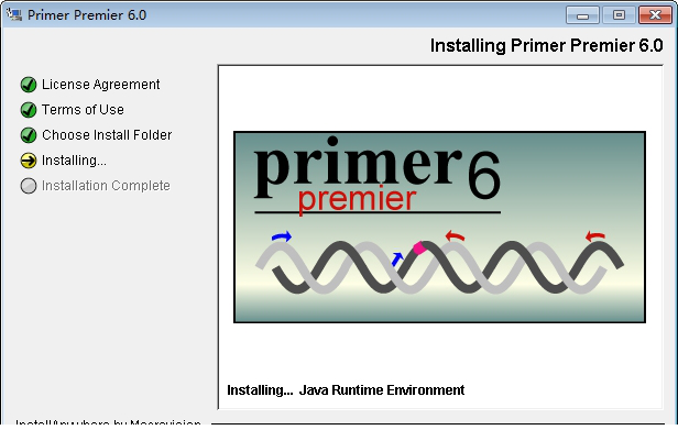 Primer Premier6.0