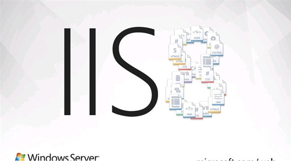 iis错误Server Application Error解决方法下载