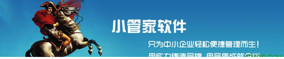 小管家进销存