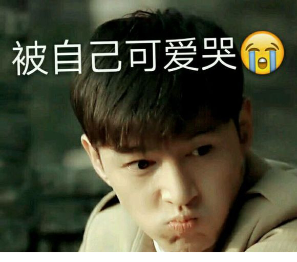 胡歌表情包