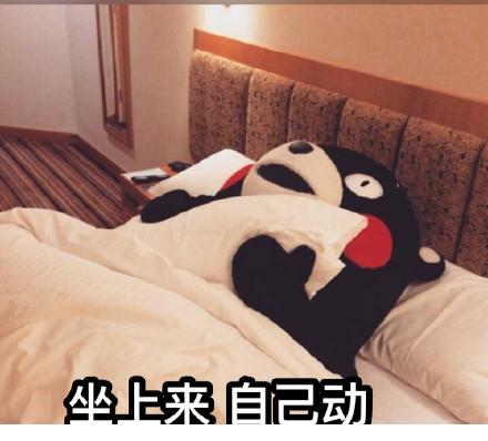 熊本熊搞笑表情包