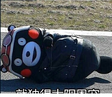 熊本熊夏天表情包