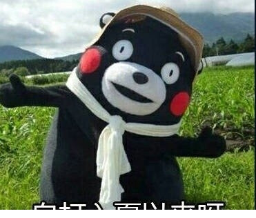熊本熊热死了表情包