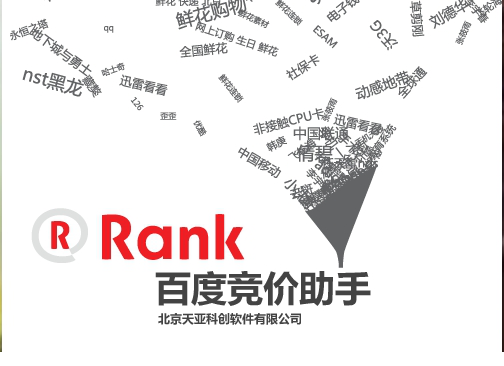 ranknow竞价助手下载