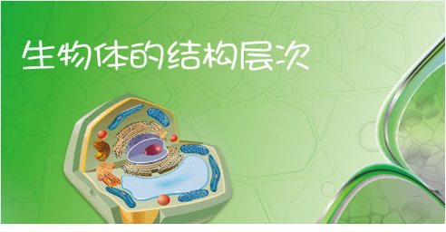 赛学霸课件免费版